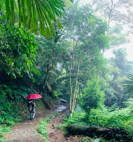 飛鳳山走四回｜從好天氣走到下雨（第 1 張，共 2 張）