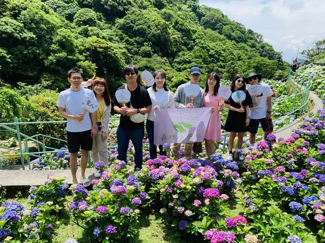 5 月森療活動「繡球甜蜜蜜」｜竹子湖繡球花海與竹扇彩繪（第 1 張，共 5 張）