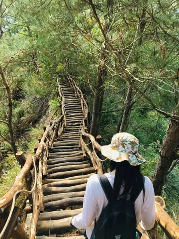 大坑四號步道｜像隻大貓一樣前進（第 2 張，共 4 張）