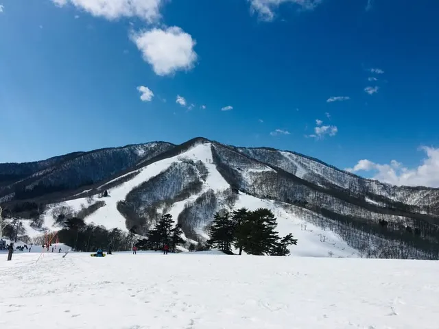 人生初次滑雪｜在日本雪場就愛上了（第 2 張，共 5 張）