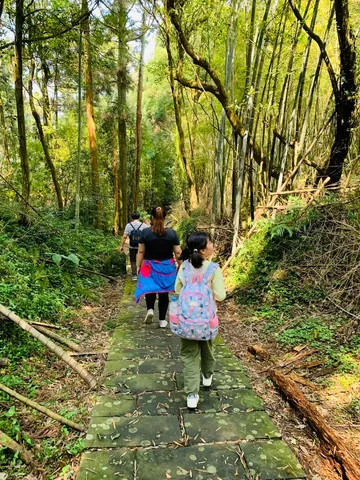 3 月森療活動「森林轉角遇見海芋」｜沿水管路走進竹子湖（第 2 張，共 4 張）