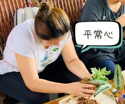 午後飛鳳山森林療癒｜把玩苔球，覺察耐心與平常心（第 2 張，共 3 張）