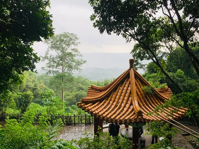 飛鳳山走四回｜從好天氣走到下雨（第 2 張，共 2 張）