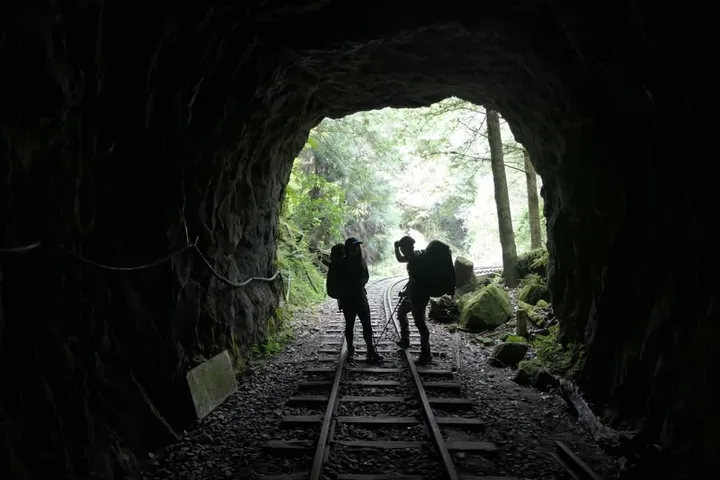 2021 水漾眠月｜柳杉林與紅檜的墳場（第 2 張，共 34 張）
