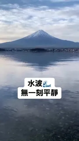 河口湖小鴨游｜水波無一刻平靜，心波無一刻不平靜（第 2 張，共 3 張）