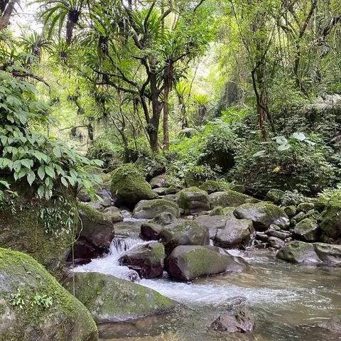 馬胎古道溪畔寫生｜在溪水與畫筆之間，遇見自己（第 2 張，共 3 張）