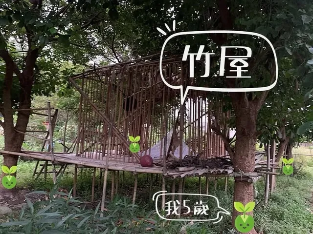 前人種樹，後人乘涼｜農場茄苳樹與孩子們的竹屋回憶（第 3 張，共 3 張）