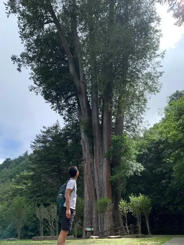 大雪山森林遊樂區｜海拔兩千公尺的森林浴（第 3 張，共 3 張）