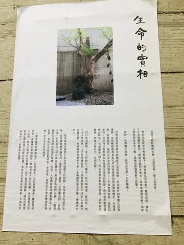探尋台中老樹｜車水馬龍旁的巨木與菩薩寺（第 3 張，共 5 張）
