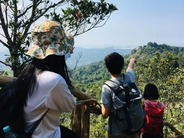 大坑四號步道｜像隻大貓一樣前進（第 4 張，共 4 張）