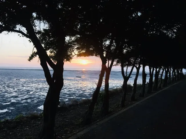 溫暖的光｜年假第一天去追逐太陽（第 4 張，共 4 張）