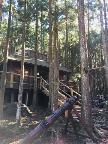 初冬的杉林｜馬武督外鳥嘴山俯瞰石門水庫（第 6 張，共 6 張）