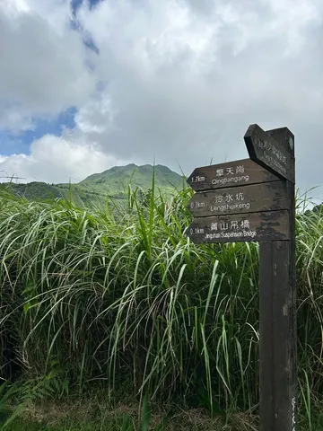 陽明山家庭照顧者森療公益｜我們想陪著妳們的，不只是走在自然裡（第 11 張，共 15 張）
