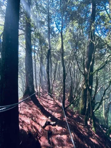 鳶嘴山｜置身於雲的那一刻（第 8 張，共 12 張）