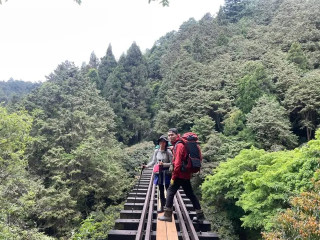 2021 水漾眠月｜柳杉林與紅檜的墳場（第 28 張，共 34 張）
